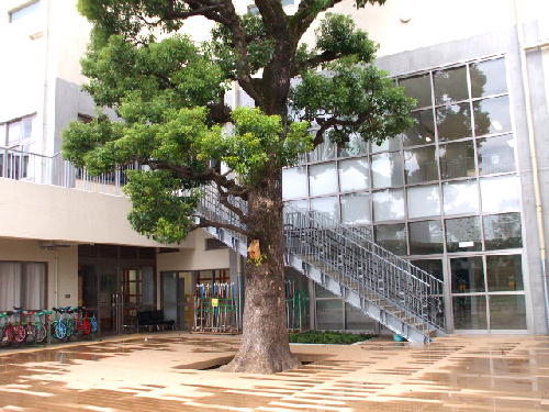 校庭１１