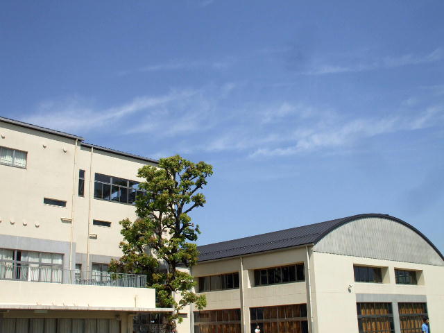 DSCF8345.JPG