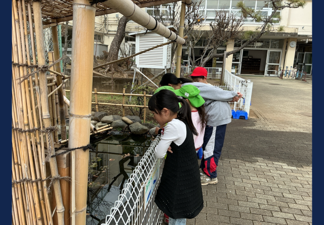 池の生き物を説明する1年生