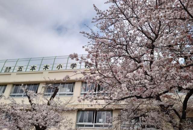 R4.4sakura
