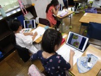 １年生「花のつぼみについて調べよう」