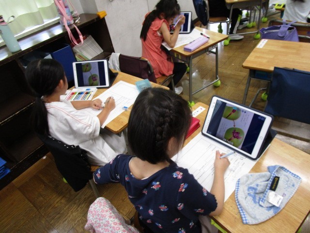 １年生「花のつぼみについて調べよう」