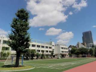 校舎と銀杏