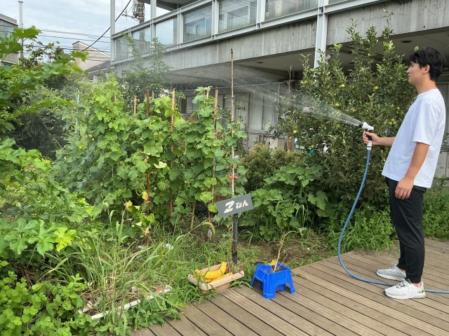 暑いので日に日に2回は水やりをしています。