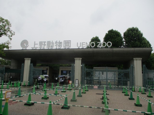雨の上野動物園