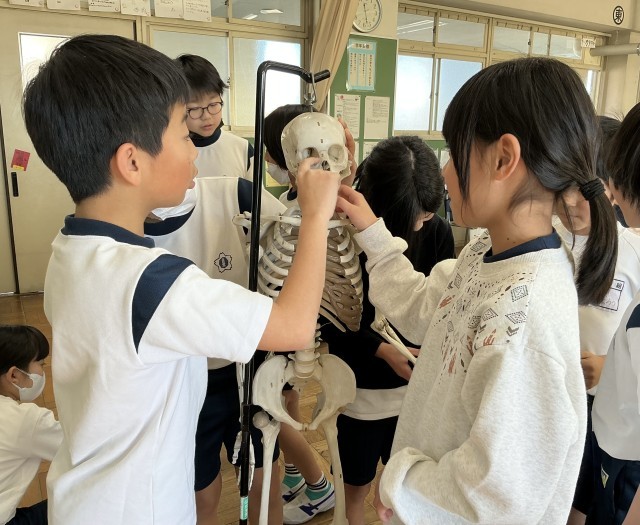 人体模型を観察する児童