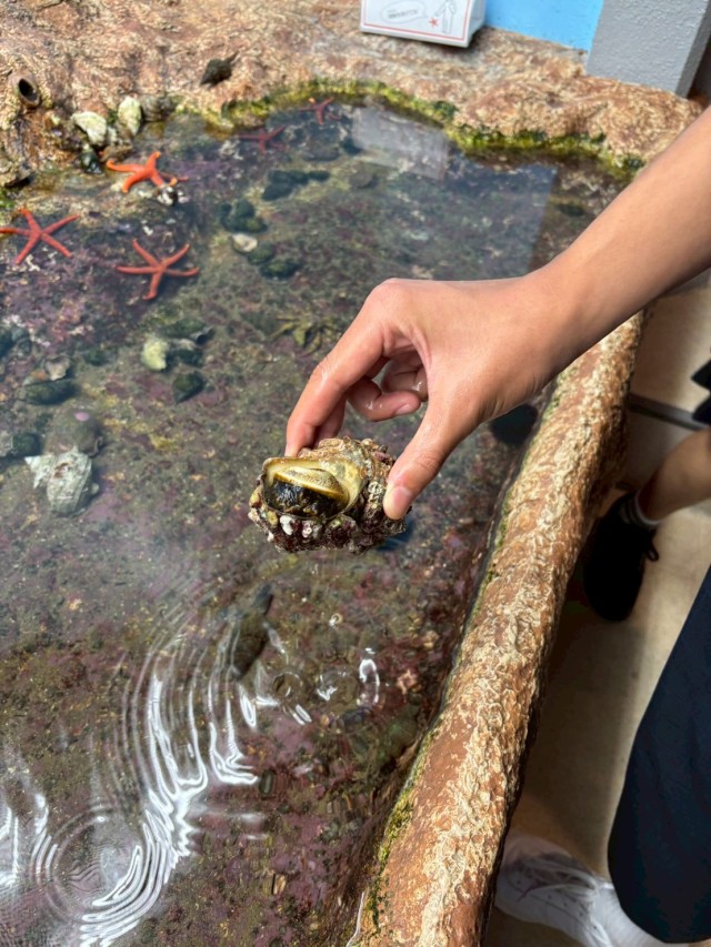 水族館1