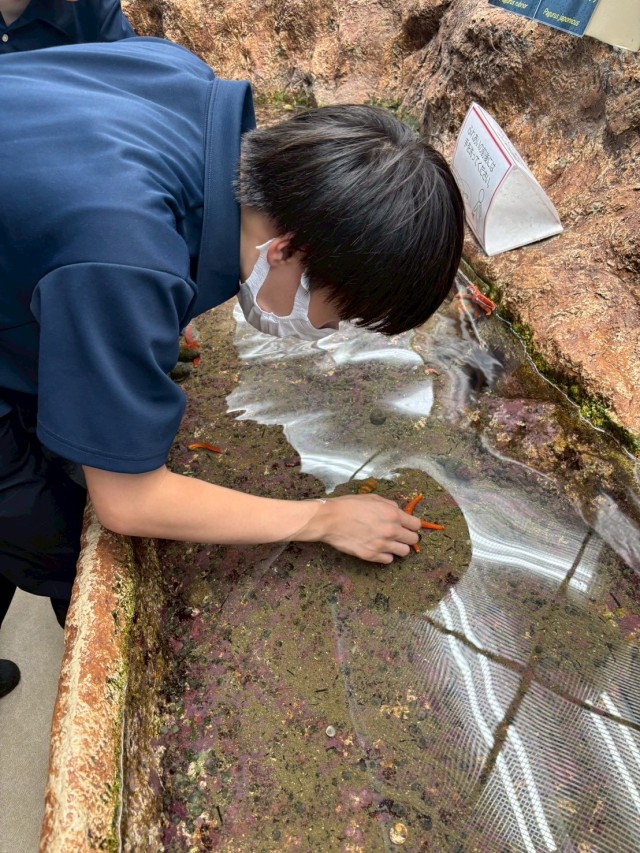 水族館2