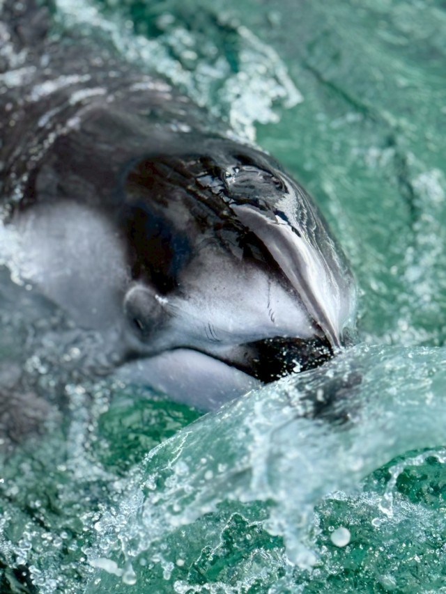水族館1