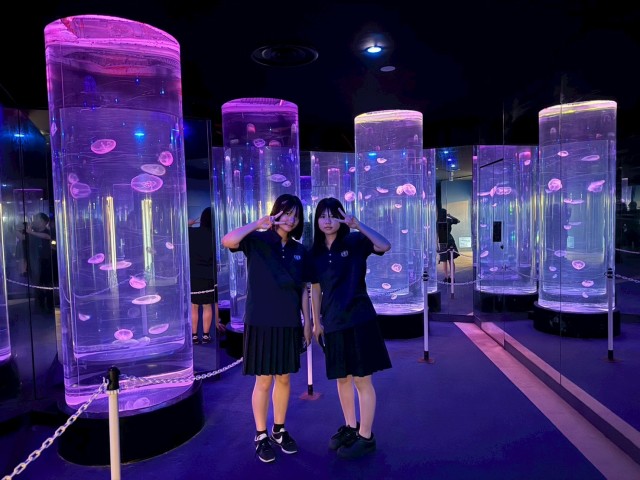 水族館2