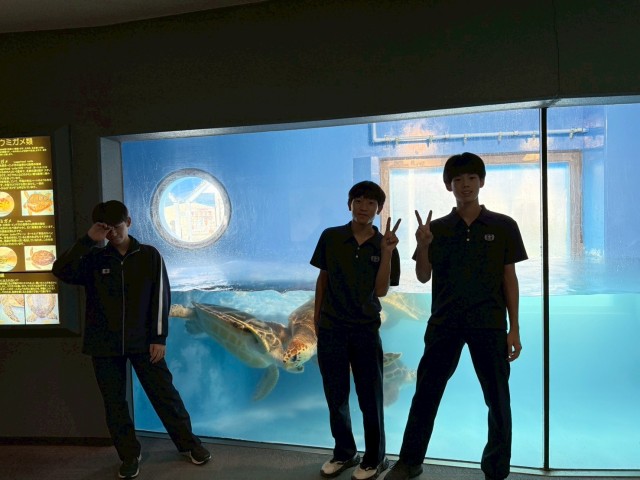 水族館4