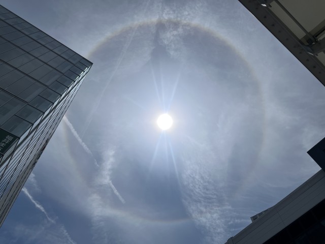 虹