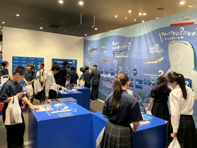 「気仙沼シャークミュージアム」にてサメの生態の展示をみている様子